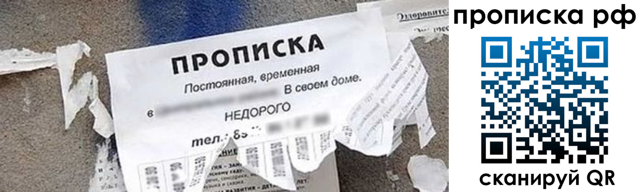 где прописаться в Ногинске
